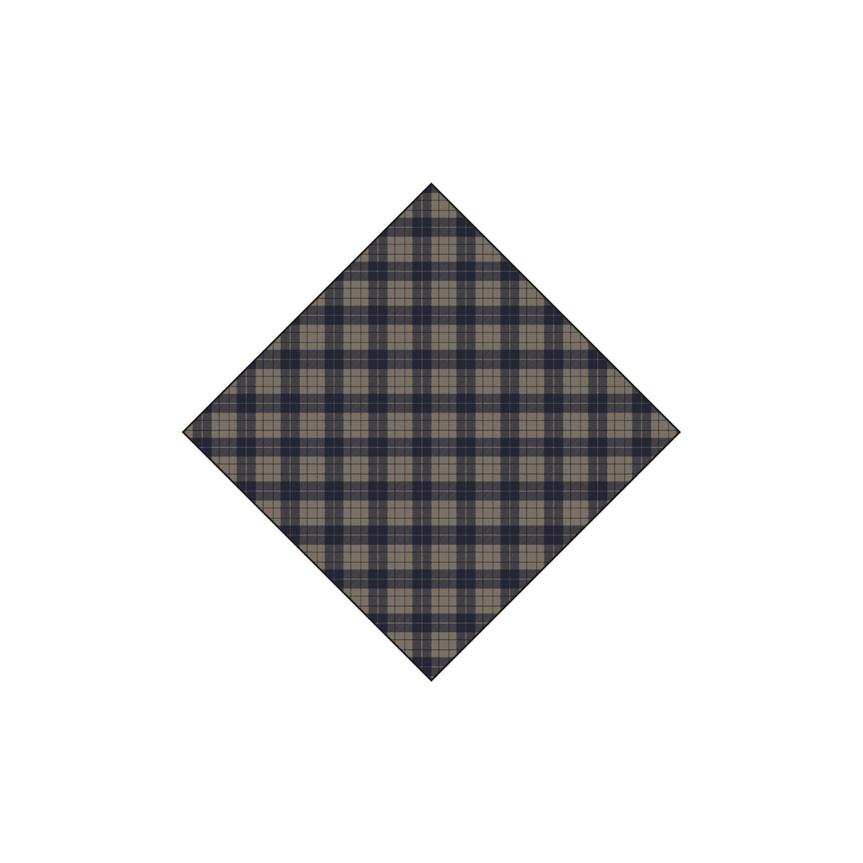 Redgreen Robbie Scarf - Navy Check