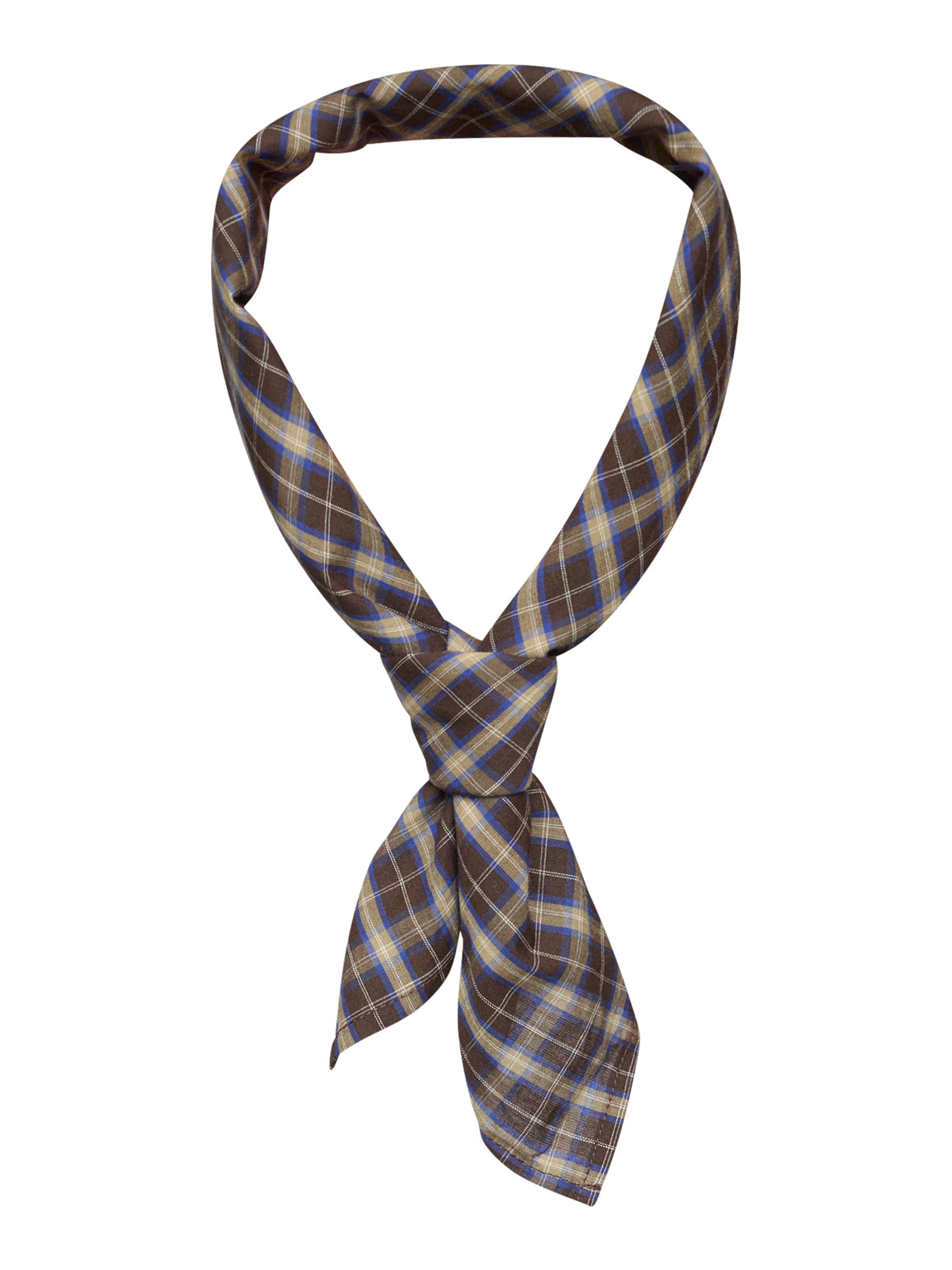Redgreen Robbie Scarf - Navy Check