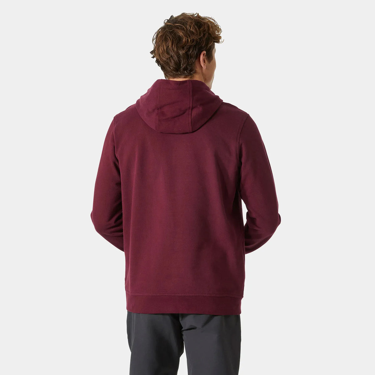 Helly Hansen Men's HH® Logo Hoodie Hættetrøje Herre - Hickory -