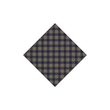 Redgreen Robbie Scarf - Navy Check