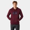 Helly Hansen Men's HH® Logo Hoodie Hættetrøje Herre