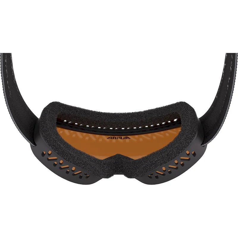 Alpina Piney 2.0 Skibriller til børn - Black Matt -